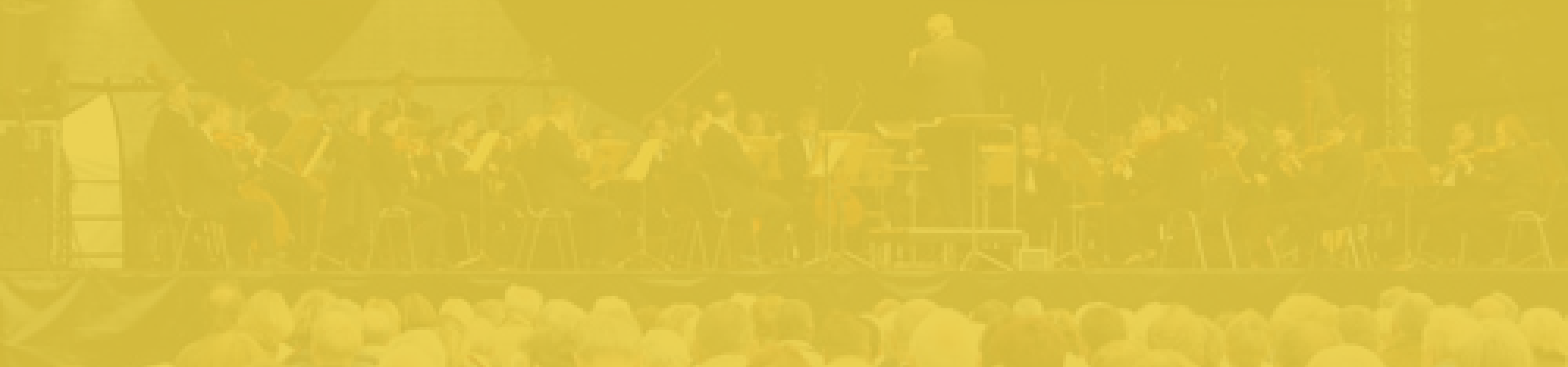 brandenburger-theater-teaser-konzert-zum-havelfest-h
