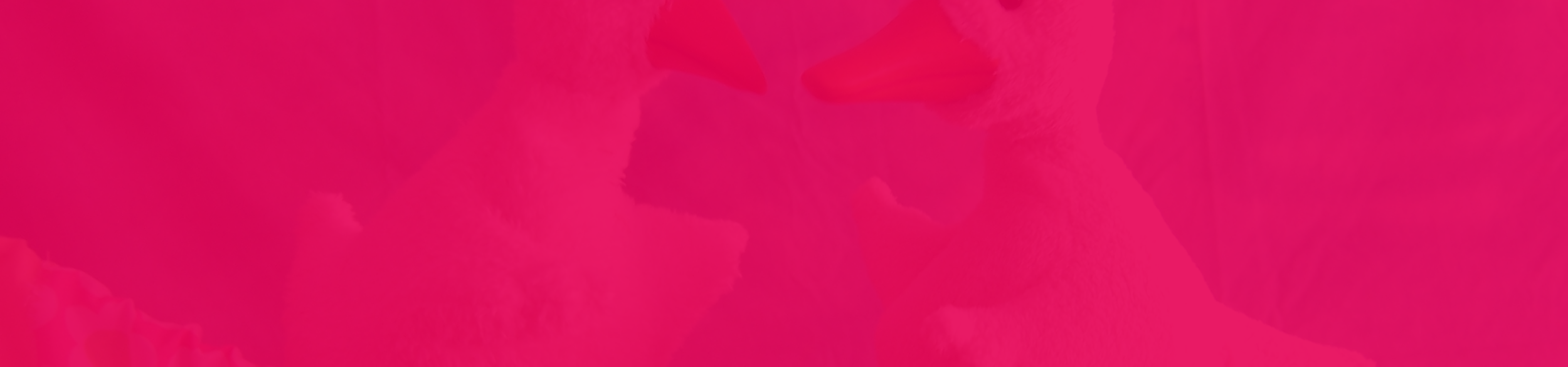 2026-2-25-BT-Website-Teaser-Huehnerei-und-Entengruetze-h