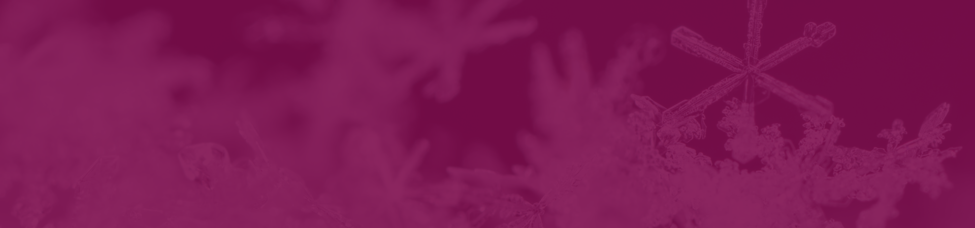 brandenburger-theater-teaser-winterzauber-h