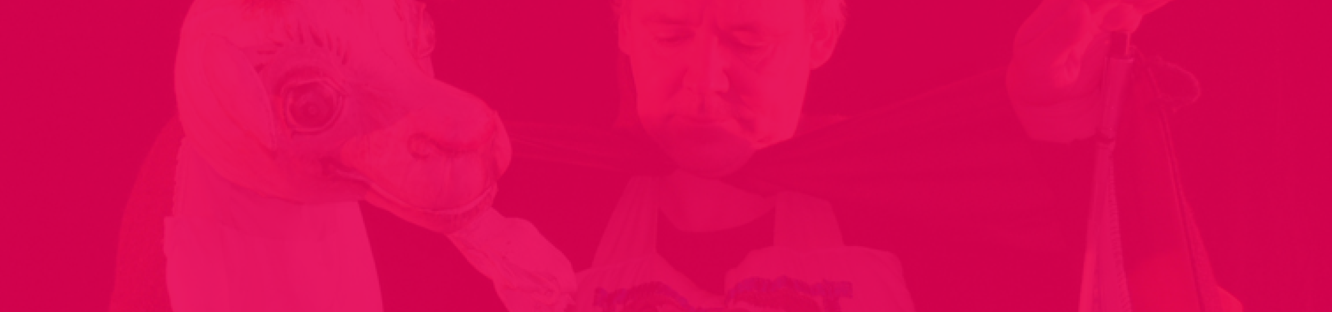 brandenburger-theater-teaser-der-wolf-und-die-sieben-geisslein-h